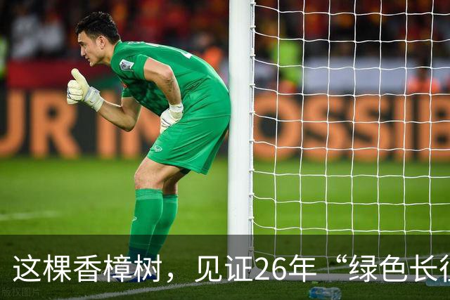这棵香樟树，见证26年“绿色长征”